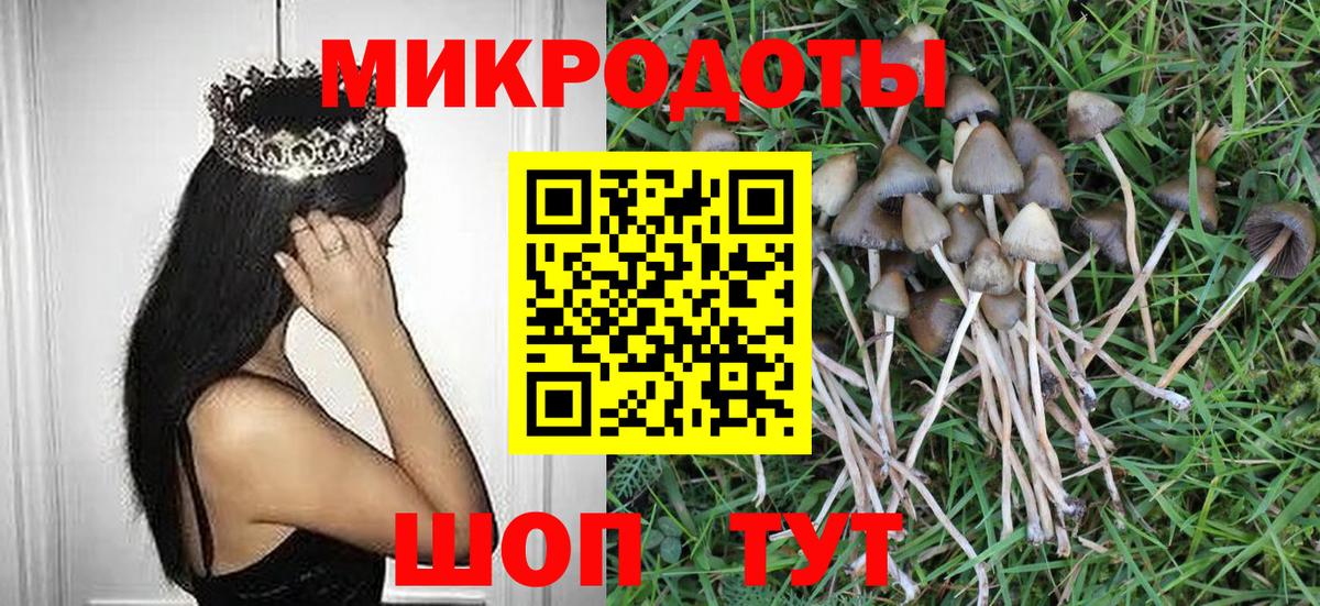 Галлюциногенные грибы Magic Shrooms  Вход с VPN  Каспийск 